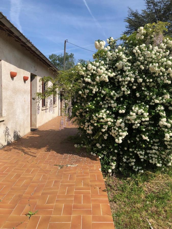La Cabanes Senouillac Exterior foto